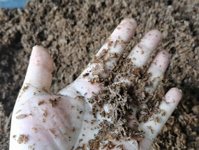 濃香型酒糟擠壓脫水，為您的生產(chǎn)提供解決方案！